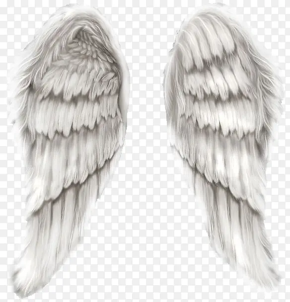 ��ɫ����ز�-������