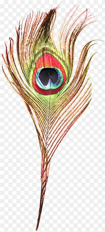 Ư����ɫ��ë-������