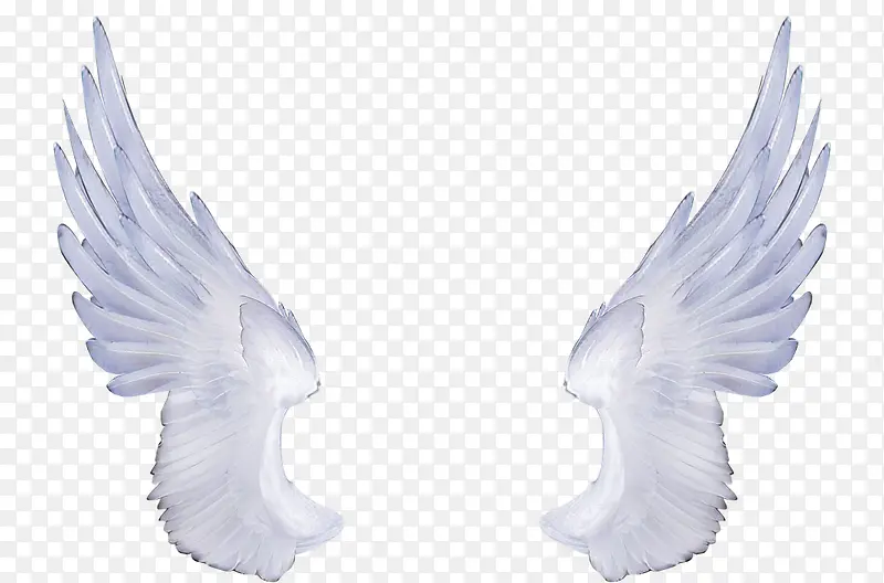 ��ɫ �������-������