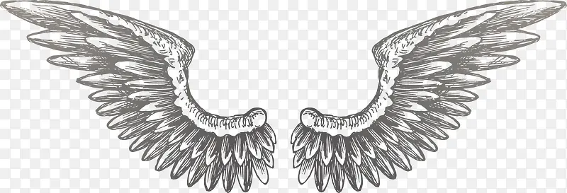 ʸ����ë���ͼ��-������