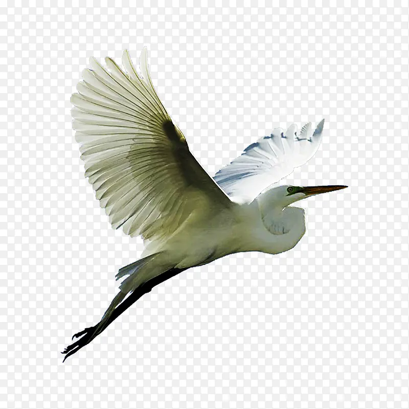 �������-������