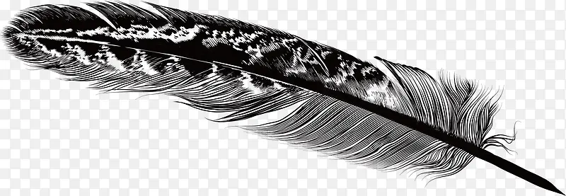 ��ëװ�����ʸ��-������