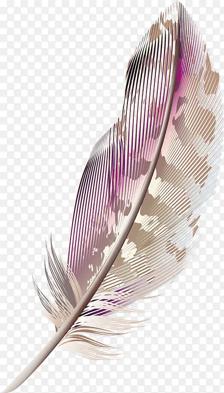 ��ëװ�����ʸ��-������