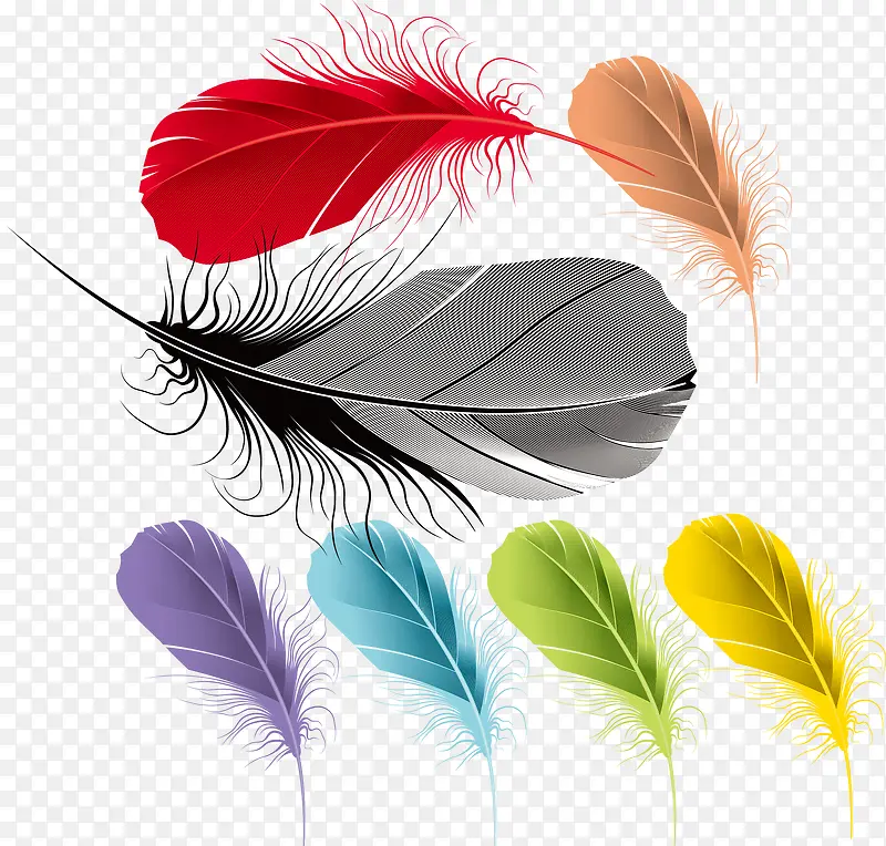 ʸ����ɫ��ë�ز�-������