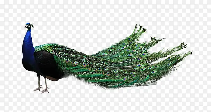 ��Ʒʵ��-������