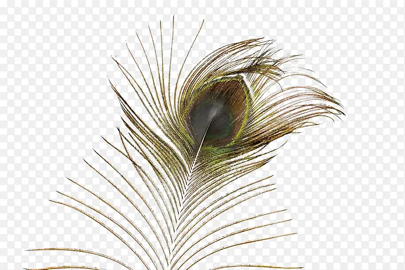 ��Ӱ ����-������