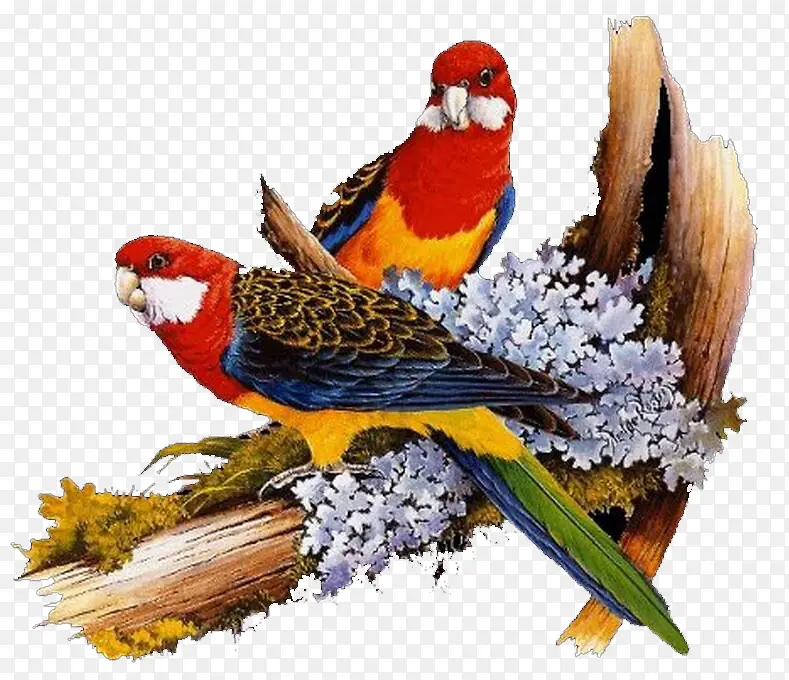 ���������ϵ�����-������