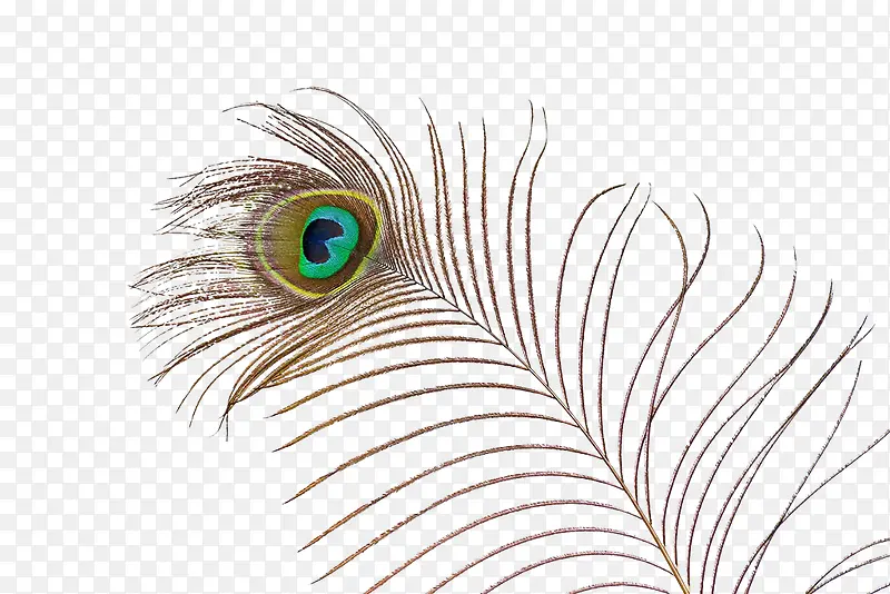 ��Ӱ ����-������