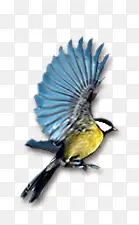 ��ɫ����-������