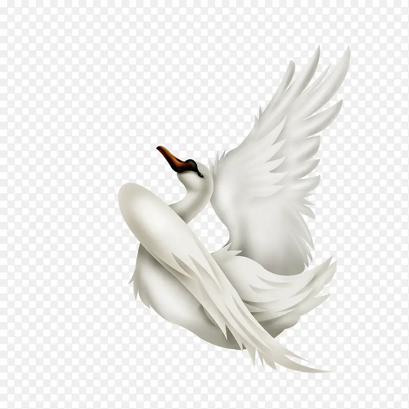 �ɺ�-������