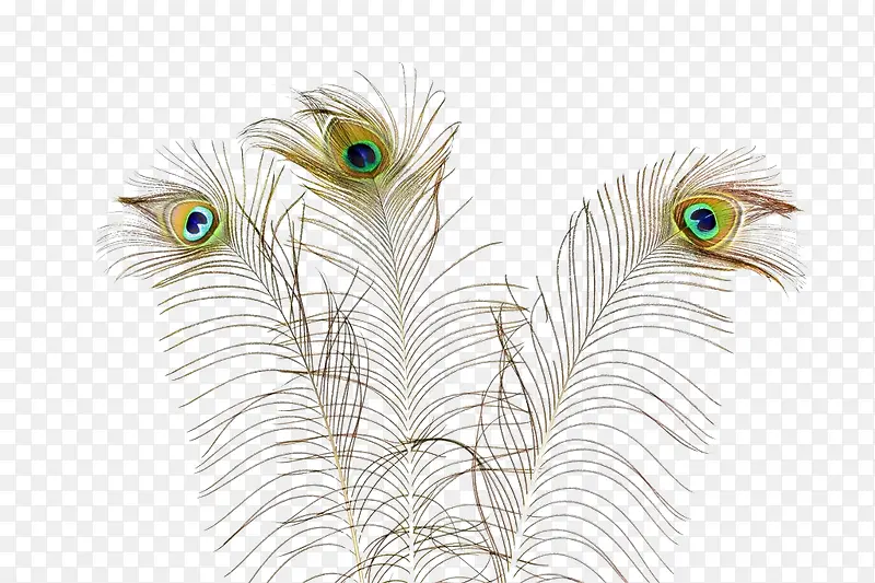 ��Ӱ ����-������