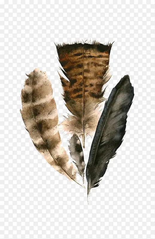 ��ͨ������ë-������