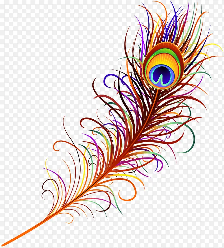 ��ͨ�ֻ���ë-������