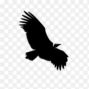 �����ӥ-������