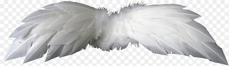 ���-������