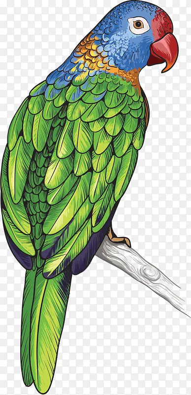 ��ɫ����-������