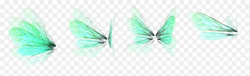 ����ز�-������