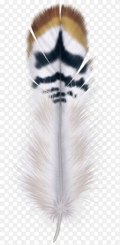 ��Լ��ëʸ���ز�-������