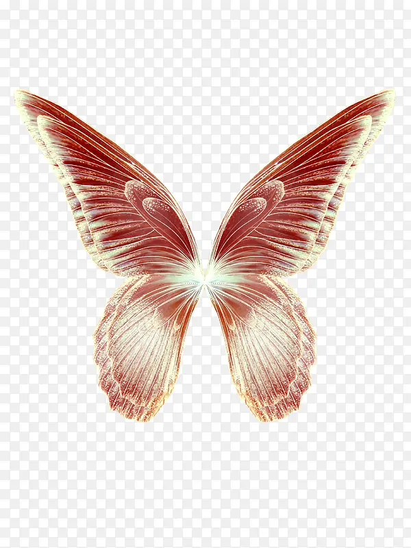 ʸ����ëֽ���� �λú������-������