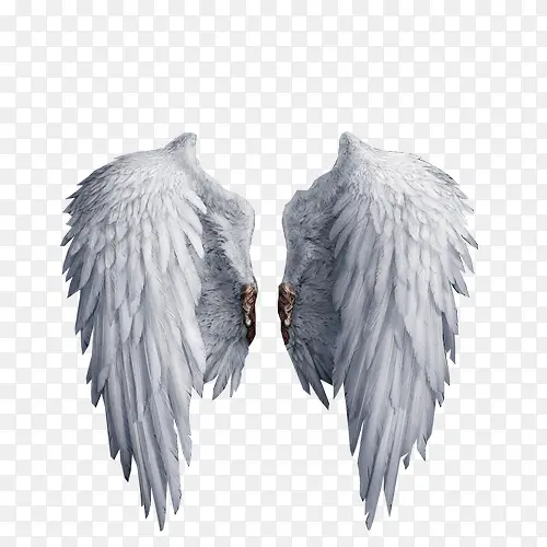 ���-������