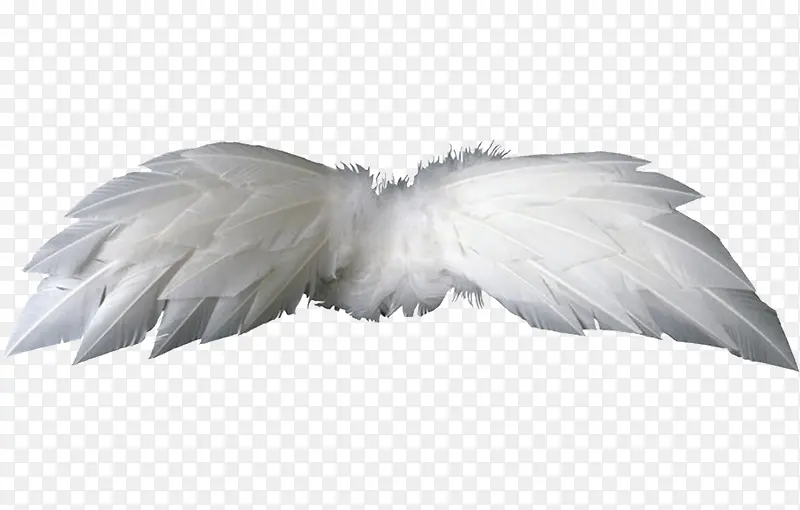 ��ë���-������