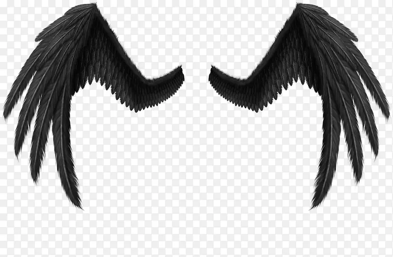 ��ɫ���-������