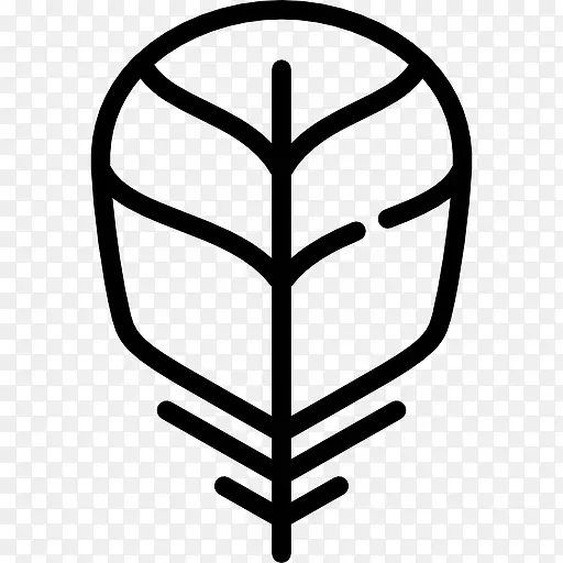 ��ëͼ��-������