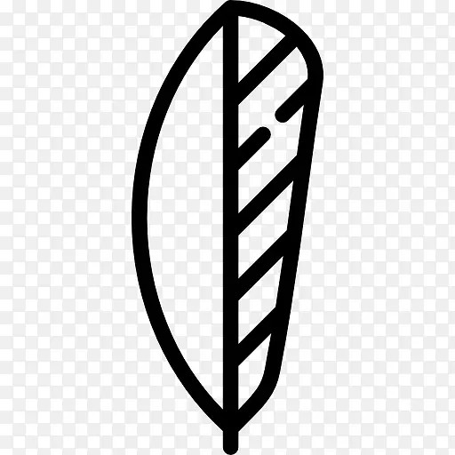 ��ëͼ��-������