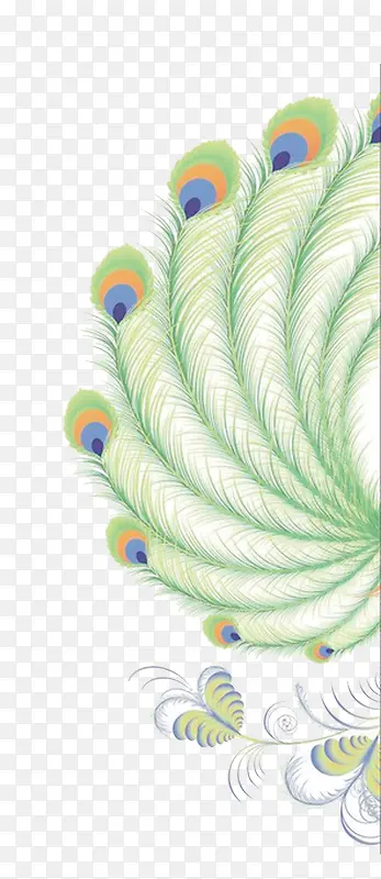 ��ȸ-������