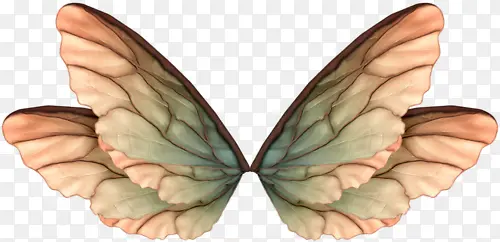 ��ͨ�ֻ��λú������-������