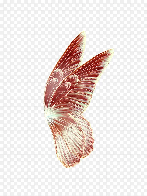 �λó��ģ��-������