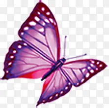 ��ɫ��������һ��ͯ��-������