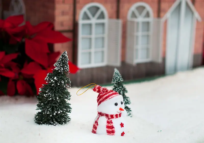 ʥ����ʥ��ѩ����Ӱͼ-������