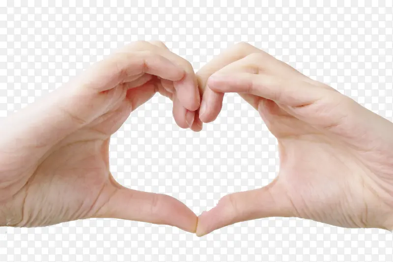 ���ĵ����ز�-������