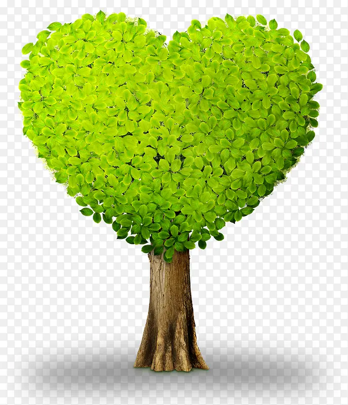 ������ľ-������