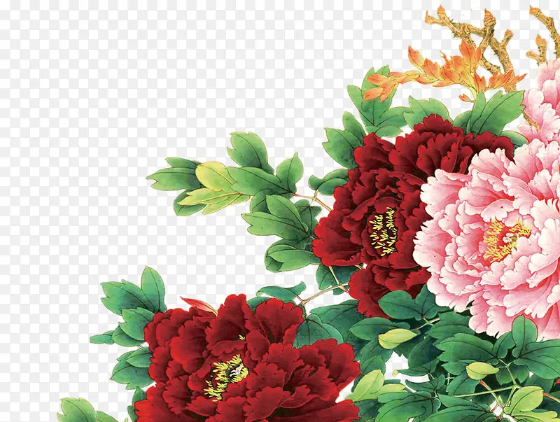 �ɰ���������Ψ��-������