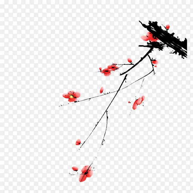 ˮ��÷���й���-������