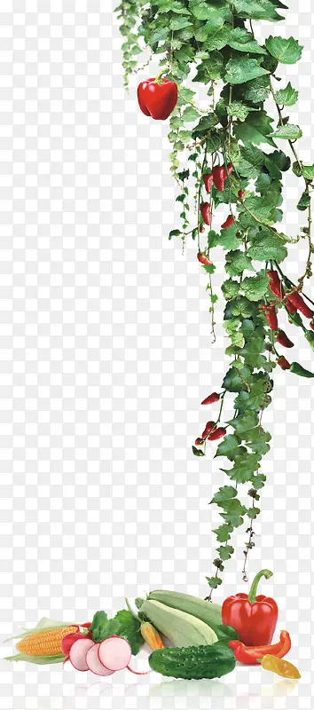 ����-������