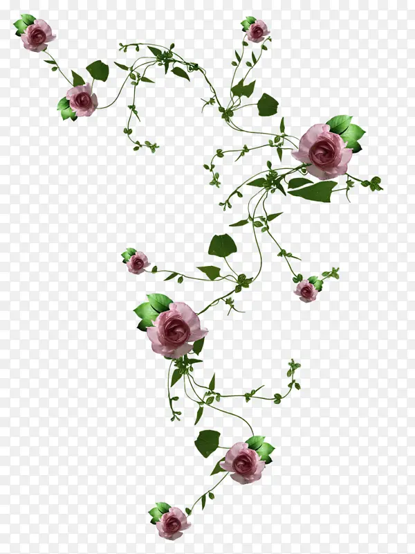 װ���ز����軨��-������