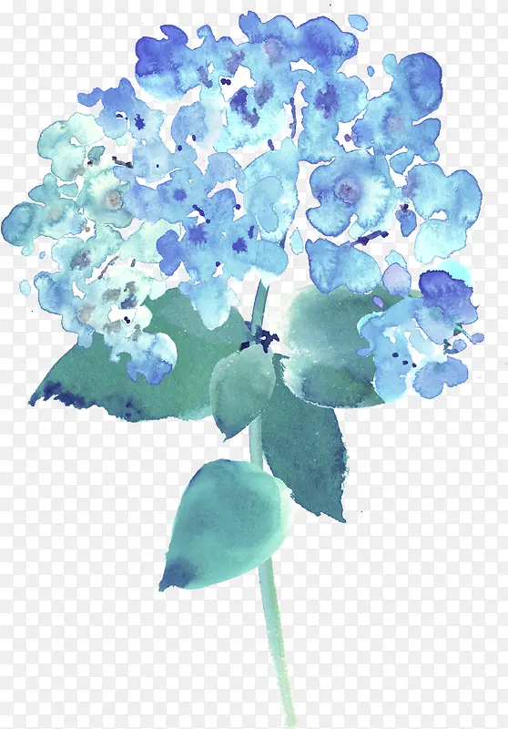 ˮ��ֲ��-������