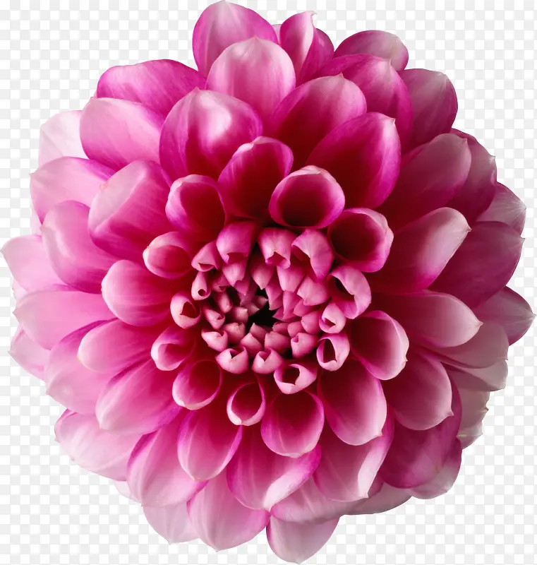 ֲ�ﻨ���زĿ�ͨװ��ͼƬ-������