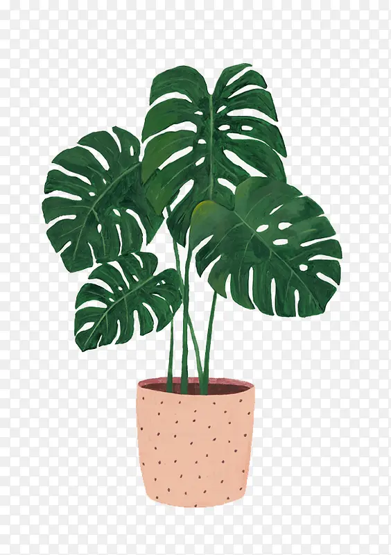 ˮ��ֲ��-������