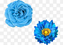 ��ͨ�ֻ���ɫ��ͨ����-������