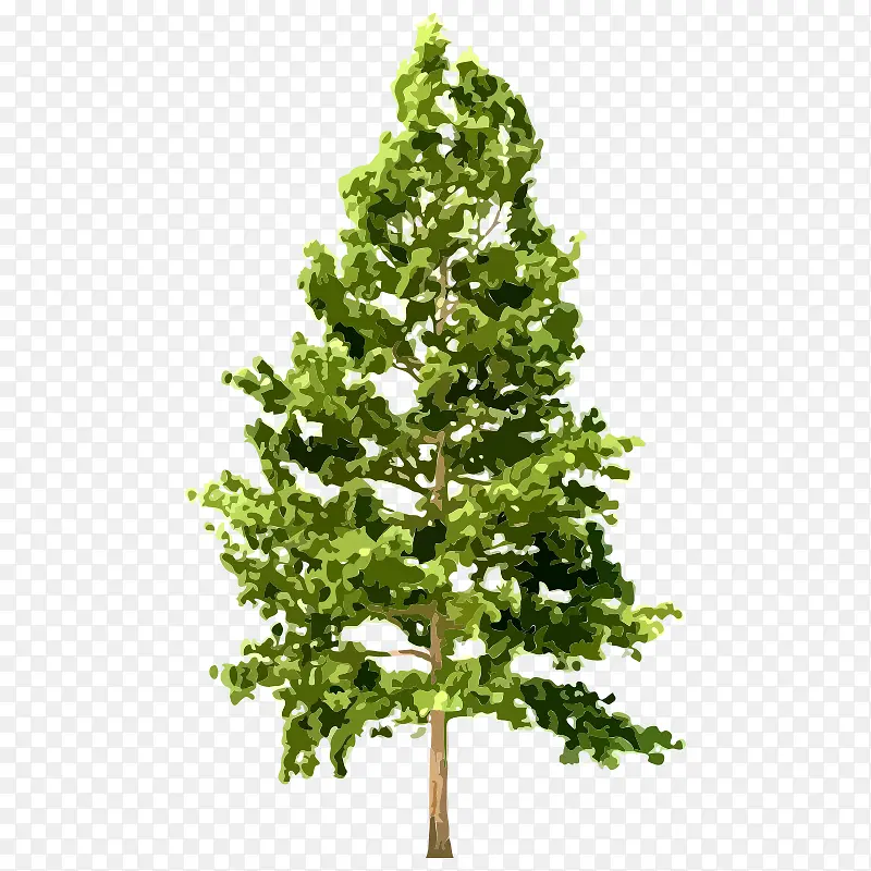 �� ��ľ ľ ֲ��-������