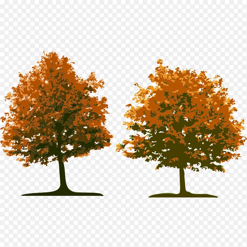 �� ��ľ ľ ֲ��-������