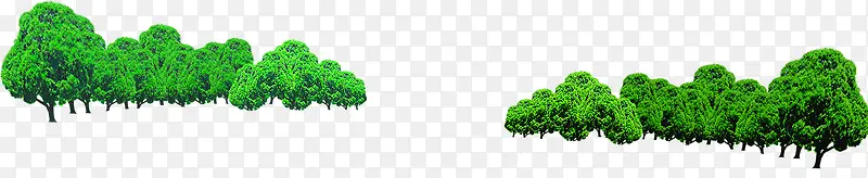 �� ��ľ ľ ֲ��-������