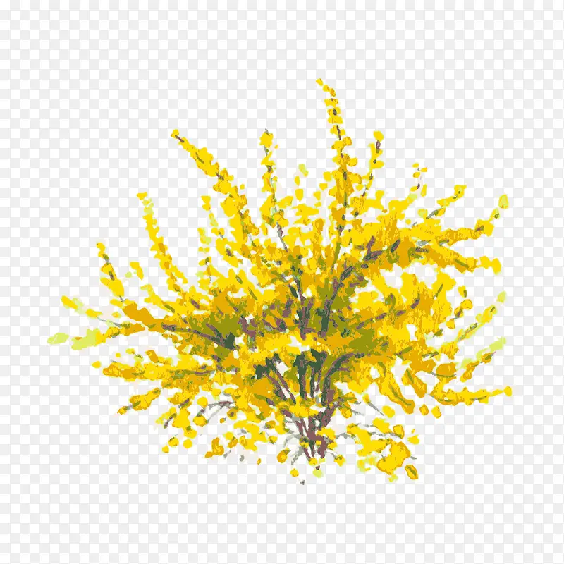 �� ��ľ-������