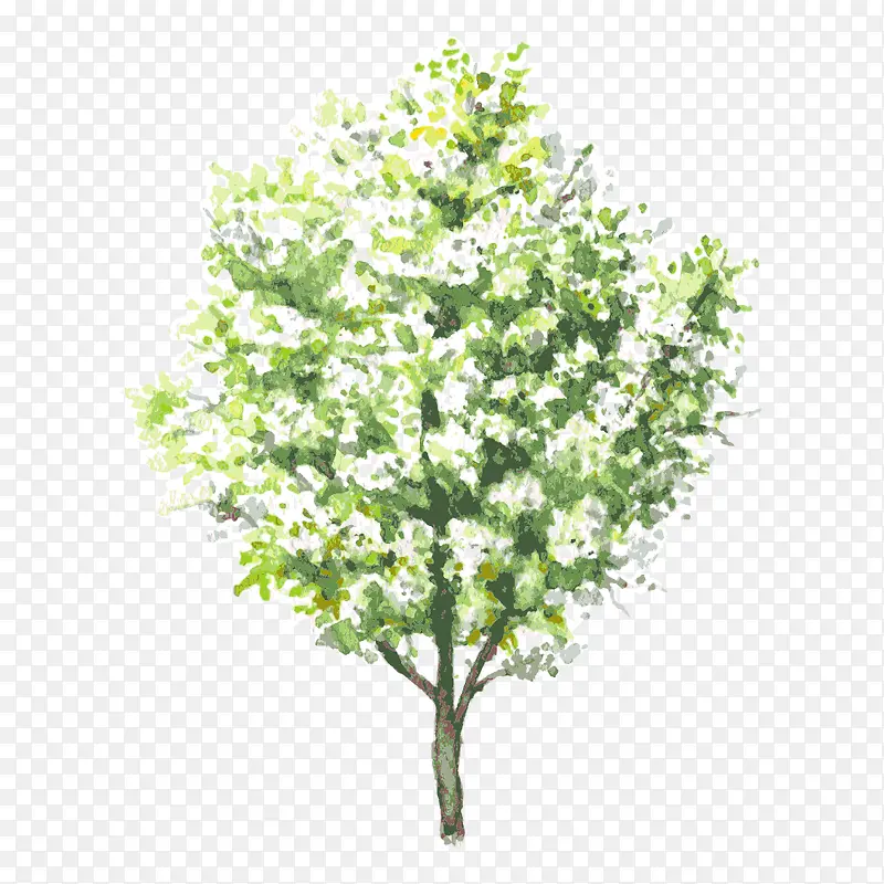 �� ��ľ-������