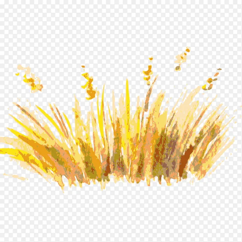 �� ��ľ-������