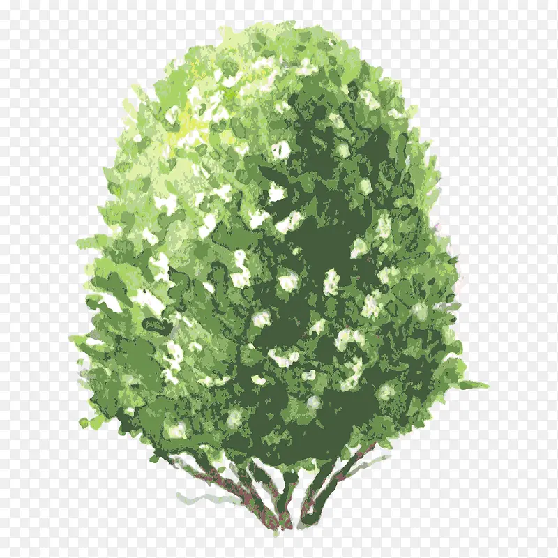 �� ��ľ-������